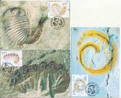CHINA 2024-4 The World Heritage Chengjiang Fossil Site Maxicards A - Maximumkarten