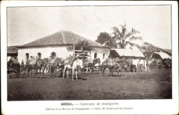 CPA Brasilien, Caravane De Transports - Autres