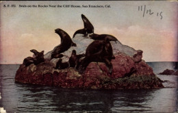 CPA San Francisco Kalifornien USA, Seals On The Rocks, Cliff House - Autres & Non Classés