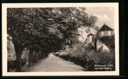 AK Mühlhausen /Thür., Am Hohen Graben  - Muehlhausen