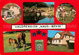73763043 Scherfede Waldpension Haus Besse Schafe Pferde Urlaub Auf Dem Bauernhof - Warburg