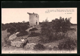 CPA Fontevieille, Le Moulin De A. Daudet  - Other & Unclassified