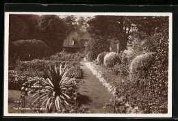 Pc Boscombe, The Gardens  - Andere & Zonder Classificatie