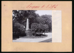 Fotografie Brück & Sohn Meissen, Ansicht Torgau, Kriegerdenkmal In Der Promenade  - Lieux