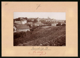 Fotografie Brück & Sohn Meissen, Ansicht Ronneburg, Stadt-Panorama  - Lugares