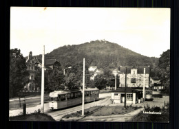 Görlitz, Landeskrone - Autres & Non Classés