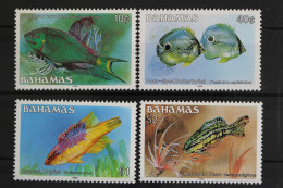 Bahamas, Fische / Meerestiere, MiNr. 619-630 III, Postfrisch - Bahama's (1973-...)