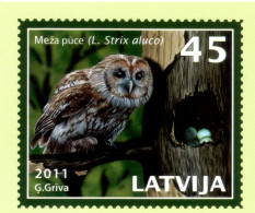 Latvia 2011, Bird, Birds, Owl, Postal Stationery, Pre-Stamped Post Card, 1v, MNH** - Gufi E Civette