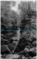 R163272 The Fairy Glen. Bettws Y Coed - Monde