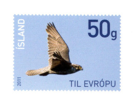 Iceland 2011, Bird, Birds, Eagle, Postal Stationery, Pre-Stamped Post Card, 1v, MNH** - Arends & Roofvogels