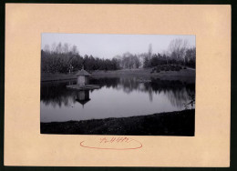 Fotografie Brück & Sohn Meissen, Ansicht Wurzen, Teich Im Stadtpark Mit Vogelinsel  - Lieux