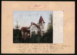 Fotografie Brück & Sohn Meissen, Ansicht Marienbad, Villa - Waldidylle  - Lieux