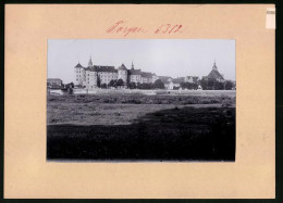 Fotografie Brück & Sohn Meissen, Ansicht Torgau, Schloss Hartenfels  - Lieux