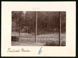 Fotografie Brück & Sohn Meissen, Ansicht Bad Elster, Blick Auf Das Freilicht Theater Im Wald  - Lieux