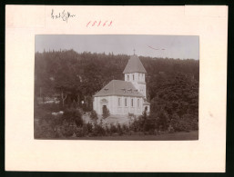 Fotografie Brück & Sohn Meissen, Ansicht Bad Elster, Blick Auf Die Katholische Kirche Im Wald  - Orte