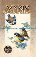 R163751 Xmas Greeting. Birds And Flowers. B. B. London - Sonstige & Ohne Zuordnung