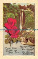 R163787 Many Fond Birthday Greetings. Waterfall. Roses - World
