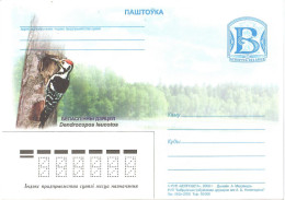 Belarus 2008, Bird, Birds, Woodpecker, Postal Stationery, Pre-Stamped Post Card, 4v, MNH** - Andere & Zonder Classificatie