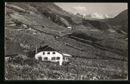 Cartolina St. Maddalena /Bolzano, Albergo Untermoser  - Bolzano (Bozen)