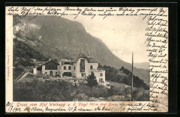 Cartolina Bozen, Gasthof Weinegg A. D. Virgl  - Bolzano (Bozen)