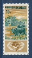 Rwanda, **, Yv 118, Mi 125A, SG 124, Bovins Ankole-Watusi (Bos Primigenius Taurus), - Koeien