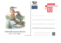 Czech 2009, Bird, Birds, Kingfisher, Postal Stationery, Pre-Stamped Post Card, 1v, MNH** - Other & Unclassified