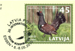 Latvia 2010, Bird, Birds, Pheasant, Postal Stationery, Pre-Stamped Post Card, 1v, Cancelled - Gallinaceans & Pheasants