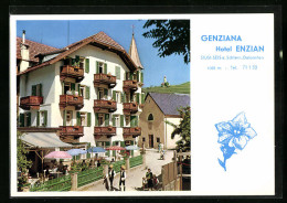 Cartolina Seis Am Schlern, Genziana Hotel Enzian Mit Terrasse  - Other & Unclassified