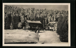 AK Freudenstadt I. Schw., Waldhotel Stokinger  - Freudenstadt