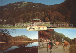 72309502 Rottach-Egern Moni- Alm Rottach-Egern - Other & Unclassified