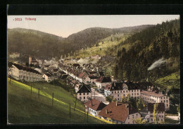 AK Triberg, Ort Im Tal  - Triberg