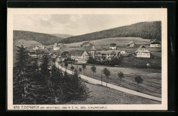 AK Bad Eisenbach /Neustadt, Ort Von Wiesen Umgeben  - Autres & Non Classés