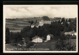 AK Freyung, Schloss Wolfstein Und Mittermühle  - Freyung