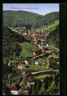 AK Triberg Bad. Schwarzwald, Ortspartie Aus Der Vogelschau  - Triberg