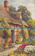 R163804 Old Postcard. House And Garden. Cottage Homes - Monde