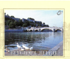 Belgium 2001, Bird, Birds, Duck, Postal Stationery, Pre-Stamped Post Card, 1v, MNH** (Split From Set) - Ducks