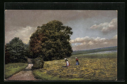 Künstler-AK Photochromie Nr. 4161: Arbeiterinnen Auf Dem Feld  - Autres & Non Classés