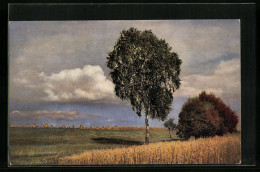 Künstler-AK Photochromie Nr. 4163: Idyllische Landschaft Mit Feldern  - Autres & Non Classés