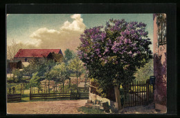 Künstler-AK Photochromie Nr. 4530: Blühender Fliederbusch Am Zaun  - Autres & Non Classés