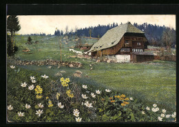 Künstler-AK Photochromie Nr. 2989: Schwarzwald, Triberg  - Other & Unclassified