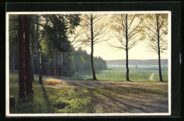 Künstler-AK Photochromie Nr. 5146: Waldesrand Mit Wiese  - Autres & Non Classés