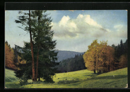 Künstler-AK Photochromie Nr. 2564: Idyllische Landschaft Im Grünen  - Other & Unclassified