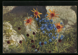 Künstler-AK Photochromie Nr. 504: Blühende Blumen  - Other & Unclassified