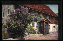 Künstler-AK Photochromie Nr. 4522: Häuseransicht Mit Fliederbusch  - Autres & Non Classés