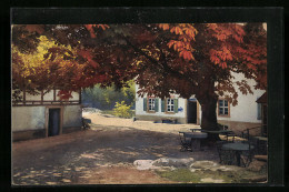 Künstler-AK Photochromie Nr. 4179: Dorfpartie Im Herbst  - Other & Unclassified