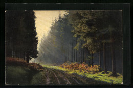 Künstler-AK Photochromie Nr. 2282: Waldweg Mit Aufgehender Sonne  - Other & Unclassified