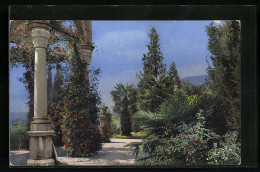 Künstler-AK Photochromie Nr.: 1832, Partie Im Park Am Steinernen Bogen  - Other & Unclassified