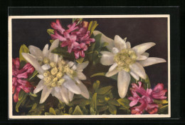 Künstler-AK Photochromie Nr.: 1857, Rhododendron Ferrugineum - Alpenrose, Leontopodium Alpinum - Edelweiss  - Autres & Non Classés