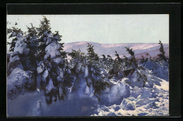 Künstler-AK Photochromie Nr.: 4219, Winterlandschaft Vor Berggipfel  - Autres & Non Classés
