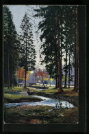 Künstler-AK Photochromie Nr.: 4316, Waldpartie Mit Bachlauf  - Autres & Non Classés